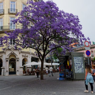 Porto