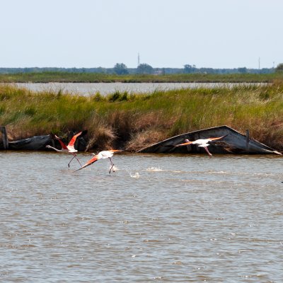 Comacchio 2026