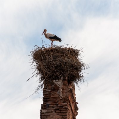 Marrakech