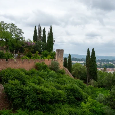 Tomar 048